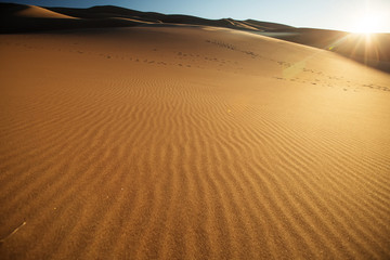 Beautiful sand dunes in the desert