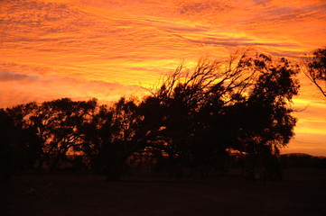 Outback sunset