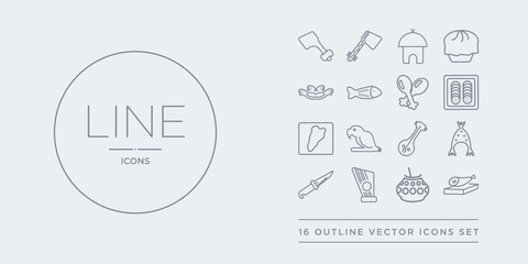 16 line vector icons set such as jam?n serrano, kalabas, kankles, knife in sheath, kokoshnik contains kora, macaw on a branch, maletsunyane, mantecados. jam?n serrano, kalabas, kankles from spanish