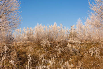 winterliche landschaft