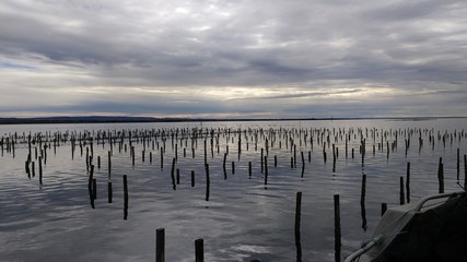 Fototapeta premium Oyster farm