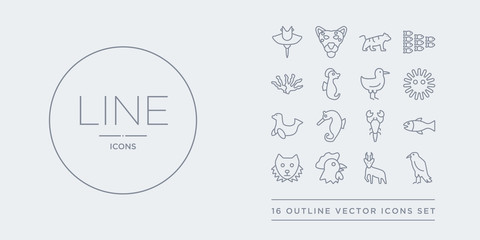 16 line vector icons set such as raven, roe, rooster, sable, salmon contains scorpion, sea horse, sea lion, sea urchin. raven, roe, rooster from animals outline icons. thin, stroke elements © t-vector-icons