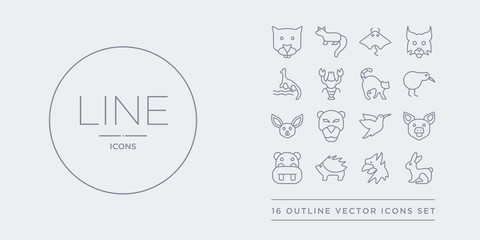 16 line vector icons set such as hare, hawk, hegdehog, hippo, hog contains humming bird, jaguar, jerboa, kiwi bird. hare, hawk, hegdehog from animals outline icons. thin, stroke elements