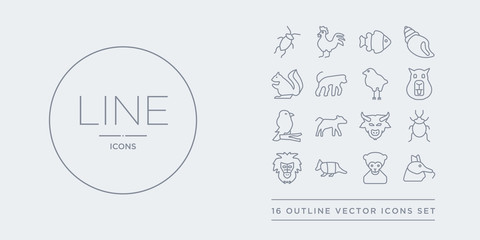 16 line vector icons set such as ant eater, ape, armadillo, baboon, bedbug contains bison, calf, canary, capybara. ant eater, ape, armadillo from animals outline icons. thin, stroke elements