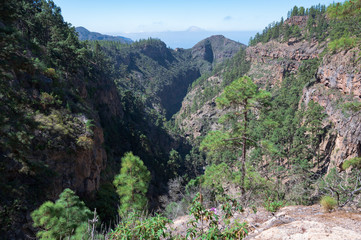 Blick über eine Schlucht Richtung Atlantik (Teneriffa)
