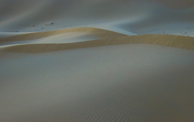 Endless desert sand dunes near Abu Dhabi