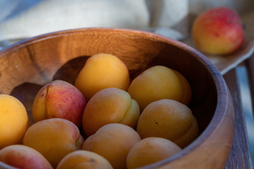 The ripe apricots, juicy fresh yellow with red outflow, which grew on the Azerbaijani earth in a wooden cup in beams of the sunset sun. Macro.