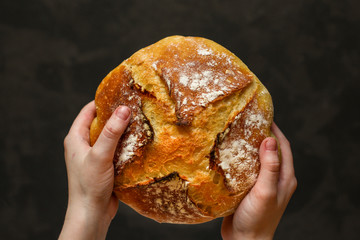 bread wheat (fresh pastries snack). food background. top