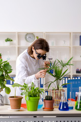 Old female biotechnology chemist working in the lab 