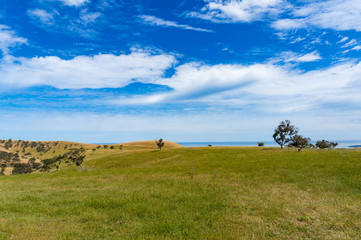 Fototapeta premium Agriculture landscape of picturesque pasture, field on sunny day