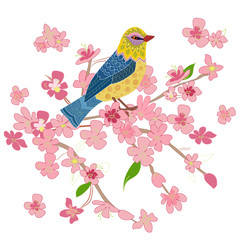 pretty bird in flowers of cherry