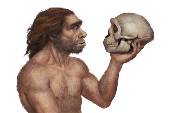 Illustration of Neanderthal Man Holding Neanderthal's Skull