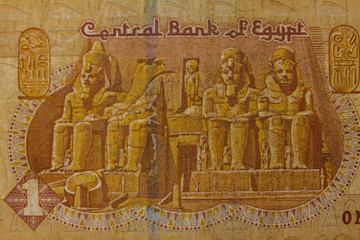Fototapeta premium Macro shot of one egyptian pound bill