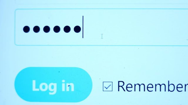 Enter the password for the website in the Internet. Encryption screen With flashing cursor.