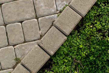 Brick with grass footpath background. Top view. 
