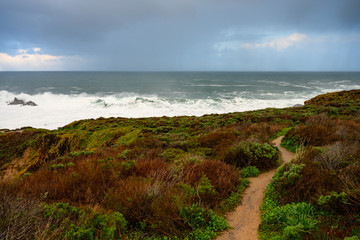 Trail Cuts Through Brush on Coastal Cliff
