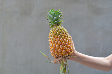 Fresh and beautiful pineapple fruit 