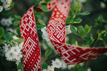 Lielvardes belt in spring