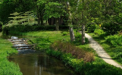 Park with green trees with water and footpath