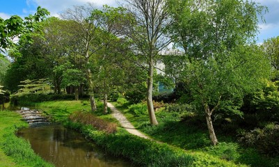 Park with green trees with water and footpath