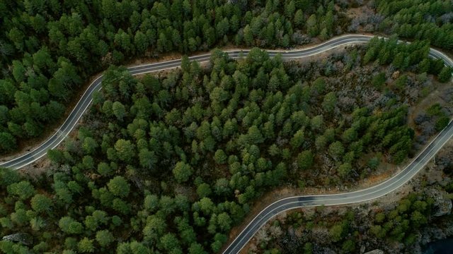 Static shot straight from above from drone, aerial image of curvy mountain road, switchback turns in middle of green forest.