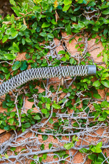 Bahamas Atlantis Paradise Island Tropical