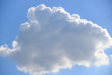 Die Wolke