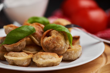 Fried dumplings. Traditional russian pelmeni on a whie plate. Rustic. Selective focus.
