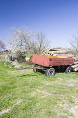 Spring rural landscape in village
