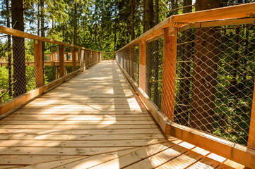 Stezka Korunami Stromu, a wooden bridge hung between the trees.