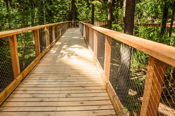 Obraz premium Stezka Korunami Stromu, a wooden bridge hung between the trees.