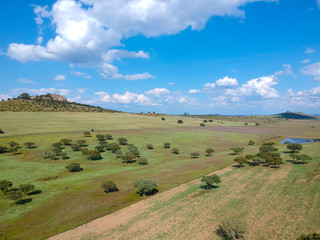 Fototapeta premium Aerial view of a agricultural field in Portugal