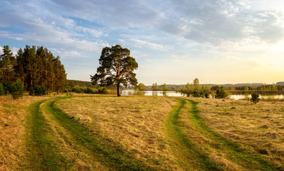 Fototapeta na wymiar vening landscape with lush pine tree on the banks of the river and a dirt road, August