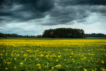 Storm over latvian fields