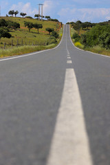landscape of country road. Countryside road