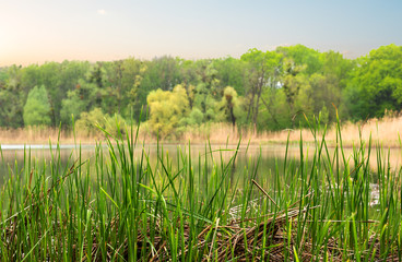 River in cloudy evening
