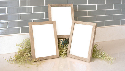 Three 5x7 natural wood picture frames with green moss and a tiled background