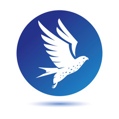 Falcon Eagle Bird Logo Template vector icon