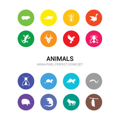 16 animals vector icons set included cocoon, coyote, desman, echidna, eel, ermine, ferret, firefly, fly, flying dove, gazelle icons