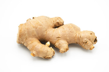 Ginger on isolated background
