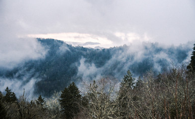 Fototapeta premium Cloudy Day in Great Smoky Mountains National Park on the Border of Tennessee and North Carolina 