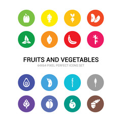 16 fruits and vegetables vector icons set included acorn, apple, apricot, artichoke, arugula, asparagus, aubergine, avocado, bamboo, banana, shallots icons