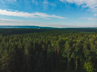 aerial view of forest. landscape. summer time