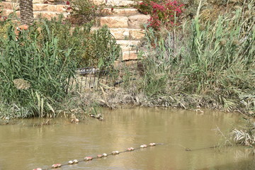 Jordanian Border with Israel/Palestine on River Jordan