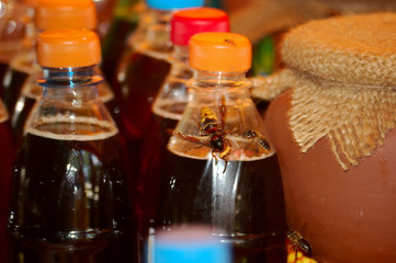 wasp and bee on plastic bottles of honey