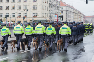 Customs officers with service dogs are marching on military parade