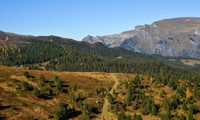 Fototapeta na wymiar Mountainscape of Grindelwald, Switzerland