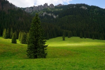 Fototapeta na wymiar Light in the mountain valley., natural summer landscape. Chocholowska Valley in Tatra Mountains, Poland