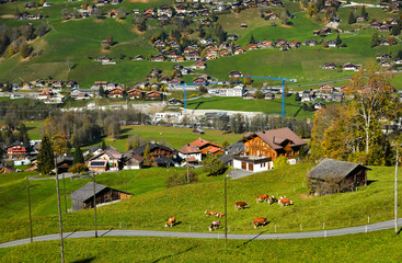 Fototapeta na wymiar Mountain town in Grindelwald, Switzerland