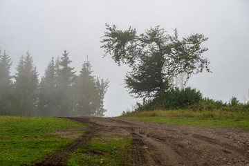 hiking trails in slovakia in rainy summer day